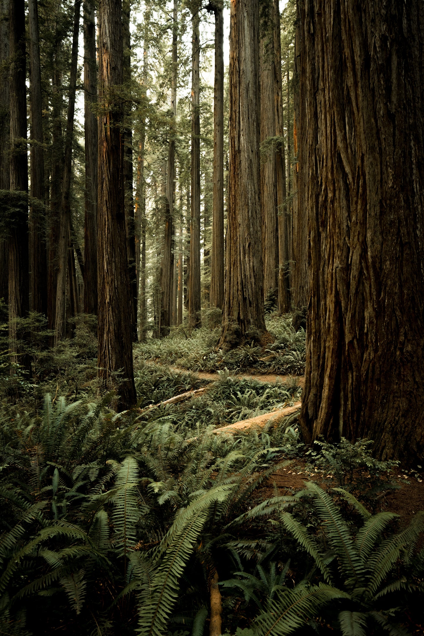 Off the Beaten Path
